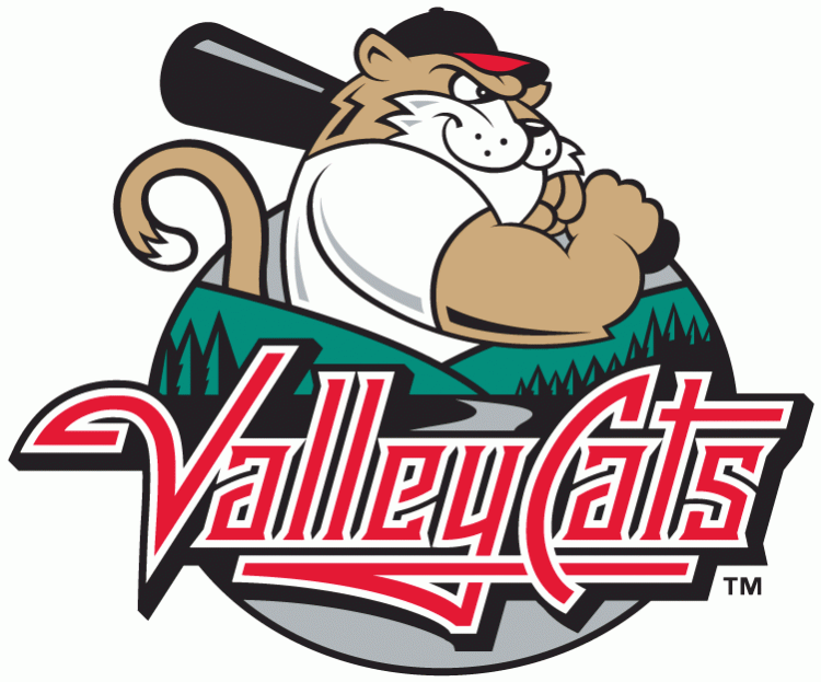 Tri-City Valleycats iron ons